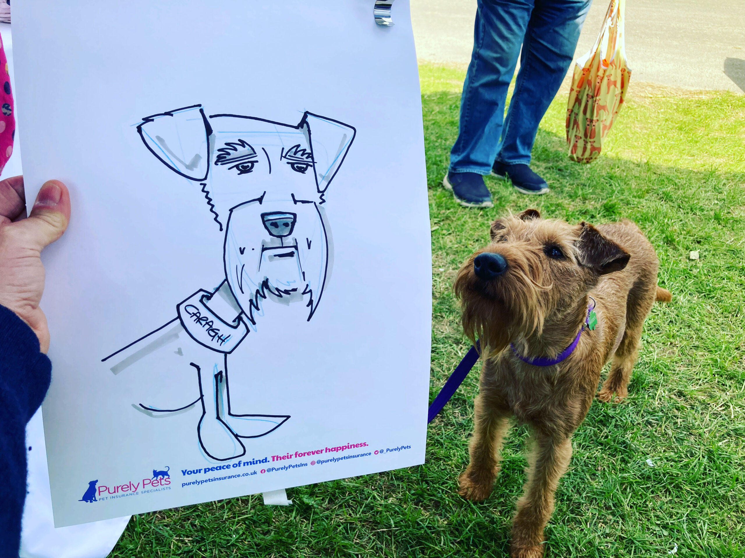 Caricaturist Mr Smiles - Image 6